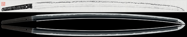 25051s