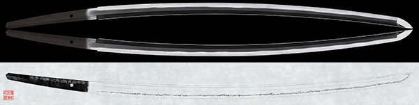 24554s
