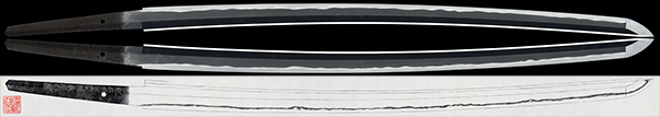26238s
