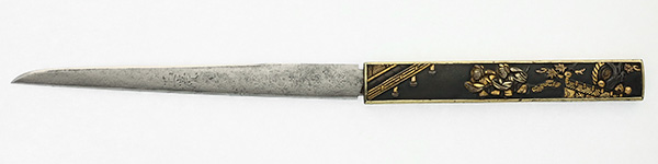 F26231s