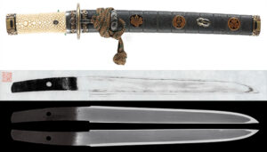 ito様 オーダー Tanto：Mumei (Unsigned) (Enju)NBTHK Tokubetsu Hozon Token