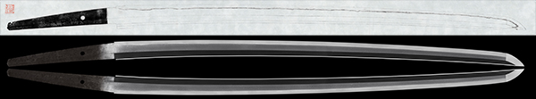 26305s