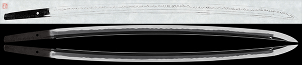 26445s