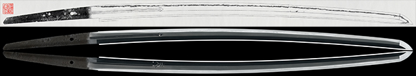26461s